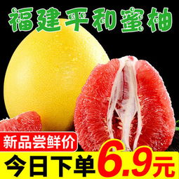 新鮮食材一站式采購指南 從水產肉類到蔬果熟食