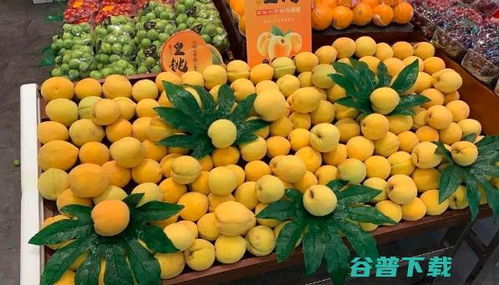 億果聯 從枝頭到舌尖，揭秘新鮮水果的智慧零售配送之旅