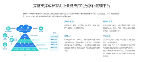濰坊金蝶公司企業(yè)管理軟件,辦公軟件